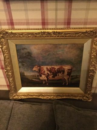Antique Primitive Folk Art Prize Bull Oil On Board