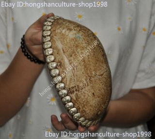 Old Tibetan buddhism Tibet silver inlay Skull head Skull Bowl Kapala Skull Cup 2