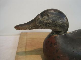 Mason Premier Grade Hen Mallard Wooden Duck Decoy 5