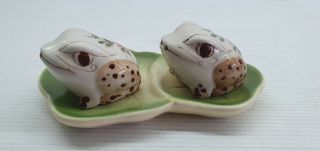 Frog On Lilypad Retro Vintage Salt And Pepper Shakers Set Taiwan Floral