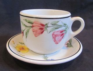 Southern Pacific Rr China Prairie Mountain Wildflowers Tall Style Cup And Saucer
