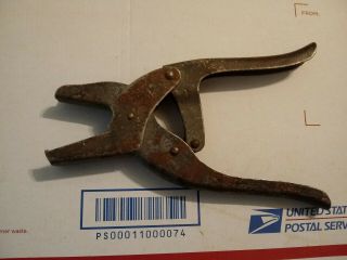 Vintage Salasco All In 1 Livestock Cattle Ear Tag Band Applicator Pliers Tool