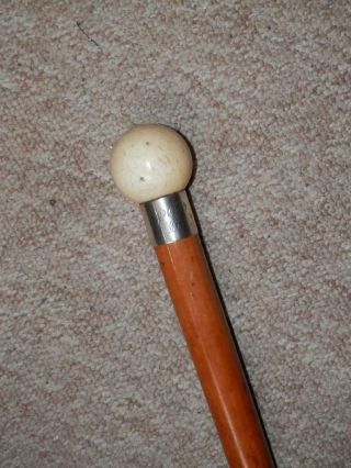Antique Walking Stick W/ Bovine Bone Billiard Ball Top & Silver Collar - 