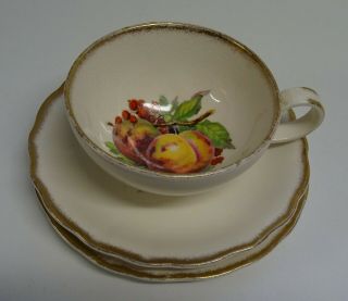 Vintage Royal Staffordshire Dinnerware By Clarice Cliff / Tea Cup Trio Fruit