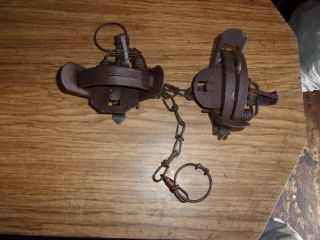 2 Coil Spring Traps Size Is 1 1/2 Victors Trapping