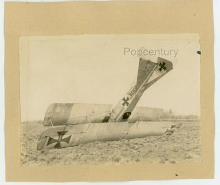 Vintage Photograph Ww1 1910s German Planes Crash Albatros Flugzeugwerke? Photo