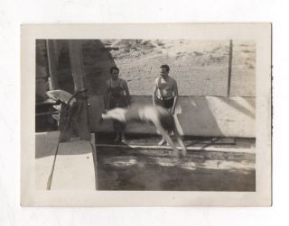 Photo - Vintage Snapshot Plongeon Piscine Saut Dans L 