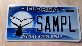 Florida,  Sample,  Car,  Tags,  License Plates,  U.  S.  Protect Florida Whales