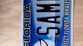 Florida,  Sample,  Car,  Tags,  license plates,  u.  s.  protect Florida whales 3