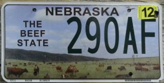 2015 Nebraska " The Beef State " License Plate
