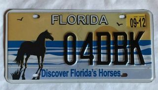 2012 Florida License Plate (04dbk) Discover Florida 