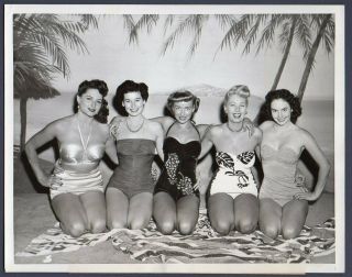 Sue Casey Sexy Starlets In Swimsuits 1955 Vintage 7x9 Photo Busty Leggy Pinup