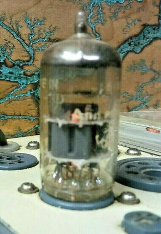 Vintage Amperex Bugle Boy 6dj8/ecc88 Holland Vacuum Tube Grey Plate Halo