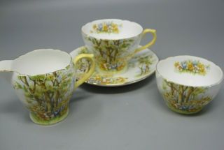 Vintage Shelley Daffodil Time Creamer,  Open Sugar Bowl,  Cup & Saucer