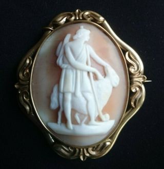 Large Grand Tour Antique Shell Cameo Brooch Of A Classical Deity Circa 1880
