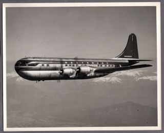 Northwest Airlines Boeing Stratocruiser B377 Large Vintage Photo Nwa 10