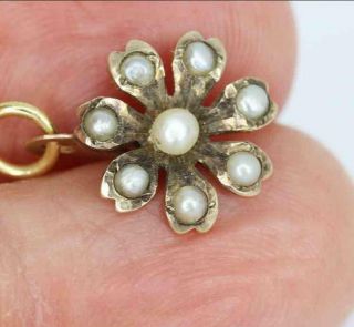 Fine Antique Victorian 15ct Gold & Seed Pearl Flower Charm/pendant