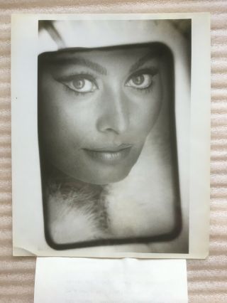Sophia Loren 1968,  Vintage Tv Press Headshot Photo.  With Press Release