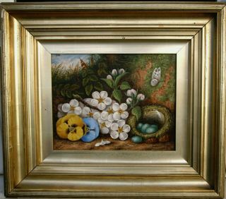 19/thcen.  Flowers Butterfly And Birds Nest On A Mossy Bank Antique Oil Painting