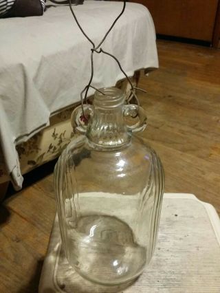 Vintage Wine 1 Gallon Clear With Lines Embossed Down The Sides Jug - No Lid