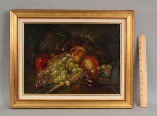 19thc Antique American Fruit Still Life Oil Painting,  Grapes Plum Pear Apple,