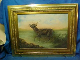 19thc Victorian Era Adirondack Elk Scene Framed Oil Painting On Canvas