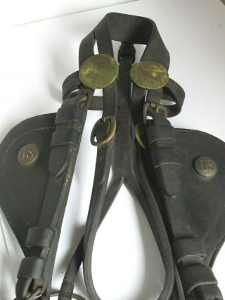 Antique Us Cavalry / Artillery Pack Horse /mule Bridle,  Bit And Blinders