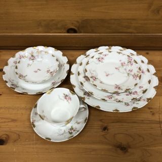 Antique Theodore Haviland Limoges France China Pink Dropped Rose 21 Pc Set