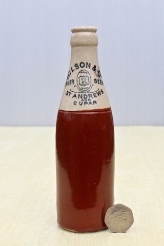 Vintage C1920s Wilson St Andrews & Cupar Fife Scotland Stone Ginger Beer Bottle