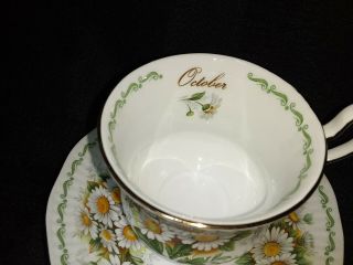 VTG QUEEN ' S Bone China ROSINA Teacup & Saucer Set Special Flowers OCTOBER DAISY 3