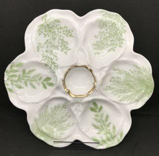 Antique French Oyster Plate Limoges Porcelain Herbal Golden Setting No Haviland