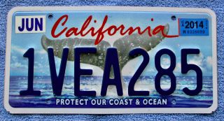 California " Whale Tale " Graphic License Plate 1vea285