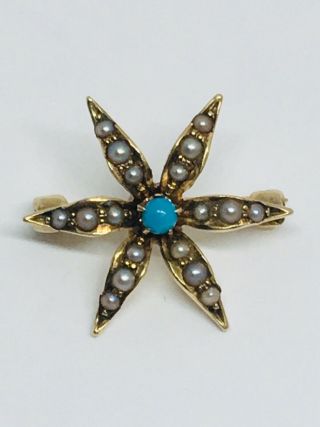 Antique 14k Turquoise,  Seed Pearl Starburst Pin