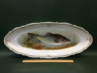 Antique Carl Tielsch Ct Germany Fish Oval Porcelain Tray Platter Transferware