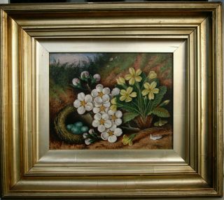 19/thcen.  Still Life Flowers And Birds Nest On A Mossy Bank Antique Oil Painting