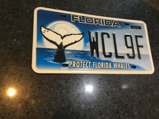 Florida Protect Florida Whales License Plate