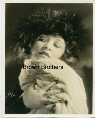 Vintage 1920s Hollywood Actress & Producer Betty Compson Dbw Photo By Witzel Bb