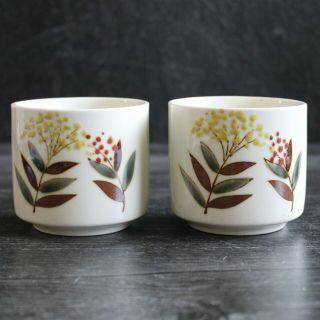 Set Of 2 Vintage Otagiri Hand - Painted Japanese Sake Cups Yunomi Tea Cups