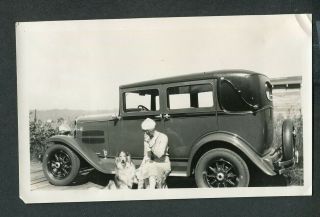 Vintage Photo Woman W/ Pet Collie Dog & 1930 Essex Car 443088
