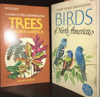 Vintage Golden Birds & Trees Of North America A Guide To Field Identification