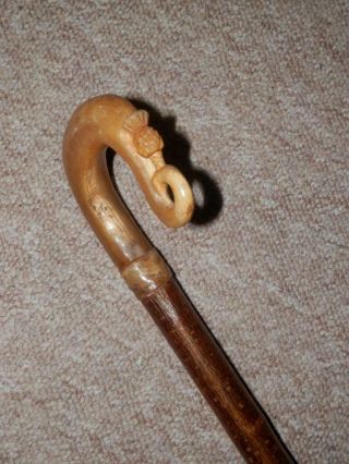Antique Scottish Shepherds Walking Stick/cane W/ Bovine Horn Crook Handle - 133cm