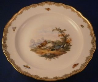 Antique 19thc Meissen Porcelain Duck Bird Scene Plate Porzellan Teller Scenic