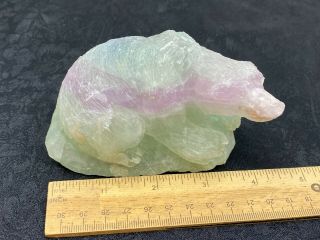 Huge,  Lovely Carved Fluorite Gemstone Bear - 578.  9 Grams - Vintage Estate Find 3