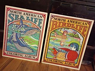 2 Vintage North American Birdlife & Sea Life Coloring Album Book Troubador Press