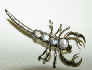 , Antique Victorian Sterling Silver Scorpion Brooch With Fine Moonstones