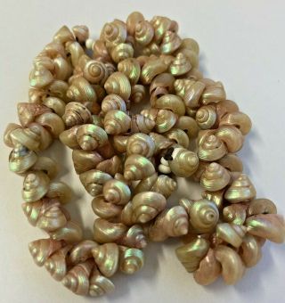 Antique Tasmanian Aboriginal Maireener Iridescent Shell Necklace
