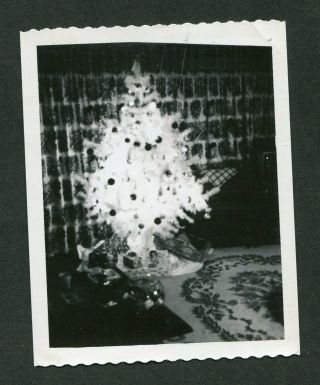 Unusual Vintage Polaroid Photo Dreaming Of White Christmas Tree 425148