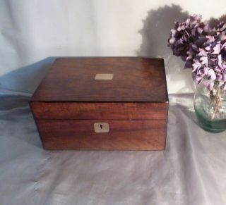 Gorgeous Large Antique Burr Walnut Box - Circa 1850