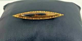 Antique 22k Gold Yellow Native Gold Nuggets Oval Shaped Horn Brooch Pin Alaska