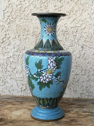 Antique Chinese Cloisonne Vase Cherry Blossom Flowers 12”.  5